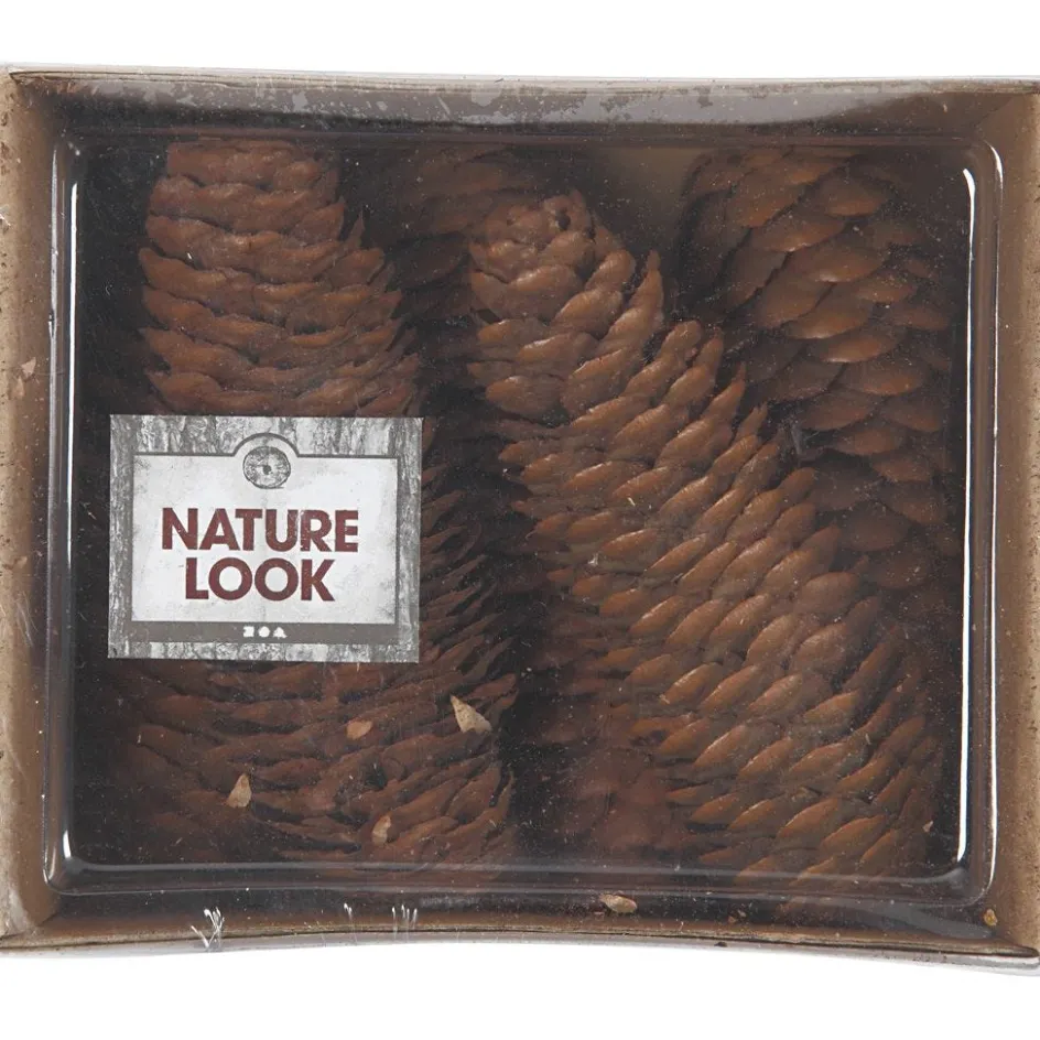 Creativ Company Abies Cone| Flower Arranging And Basket Weaving Supplies