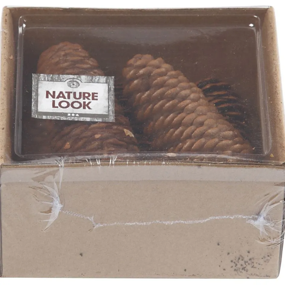 Creativ Company Abies Cone| Flower Arranging And Basket Weaving Supplies