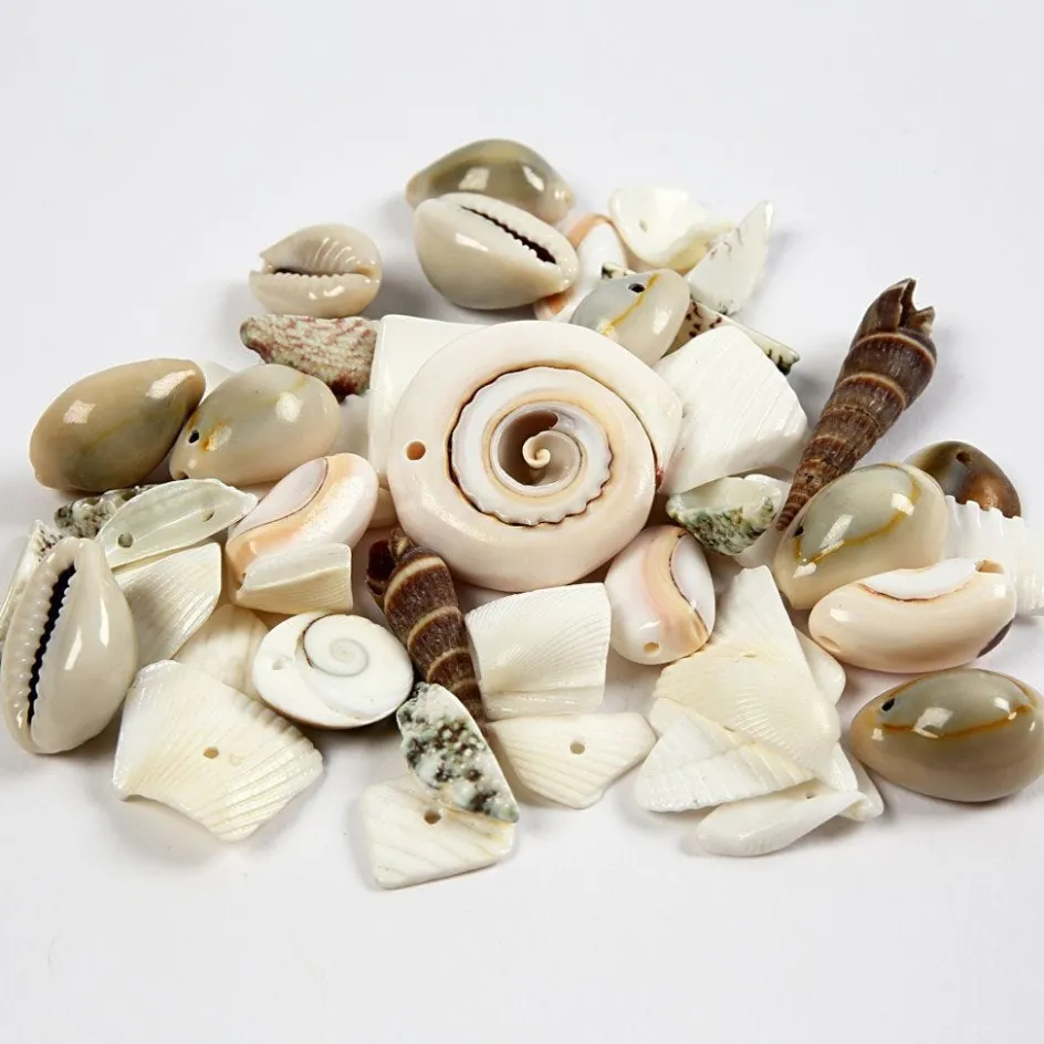 Creativ Company Beach Shells| Beads