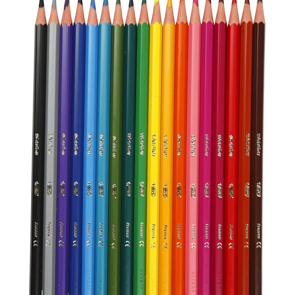 BIC Evolution Colour Pencils| Pencils And Chalks