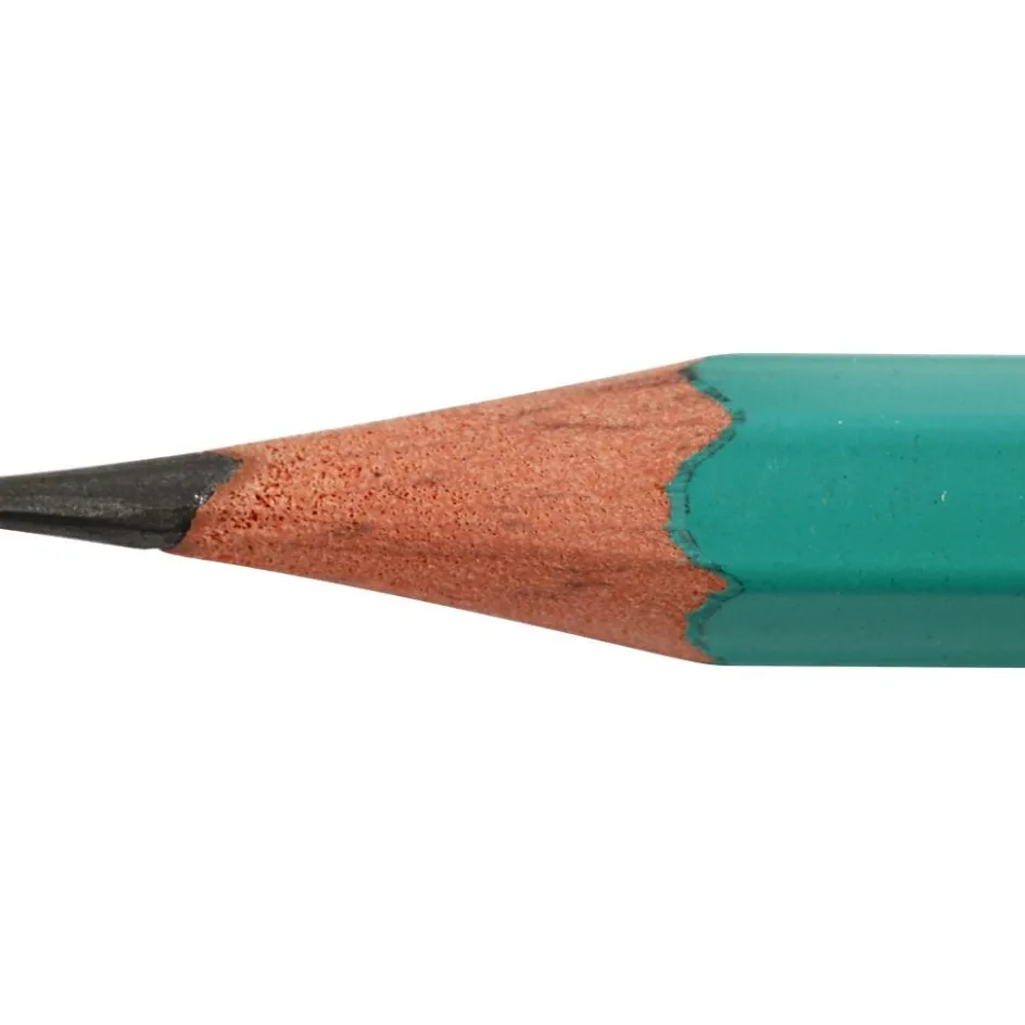 BIC Evolution Pencils| Office Supplies