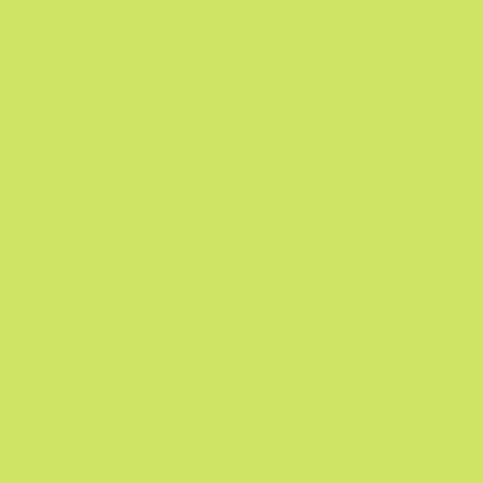 Creativ Company Blackboard Paint| Specialist And Special Effects Paint