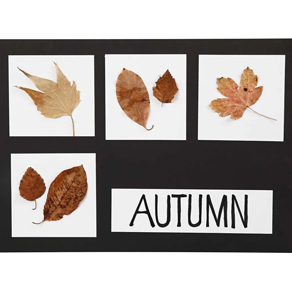 Creativ Company Card| Paper And Card