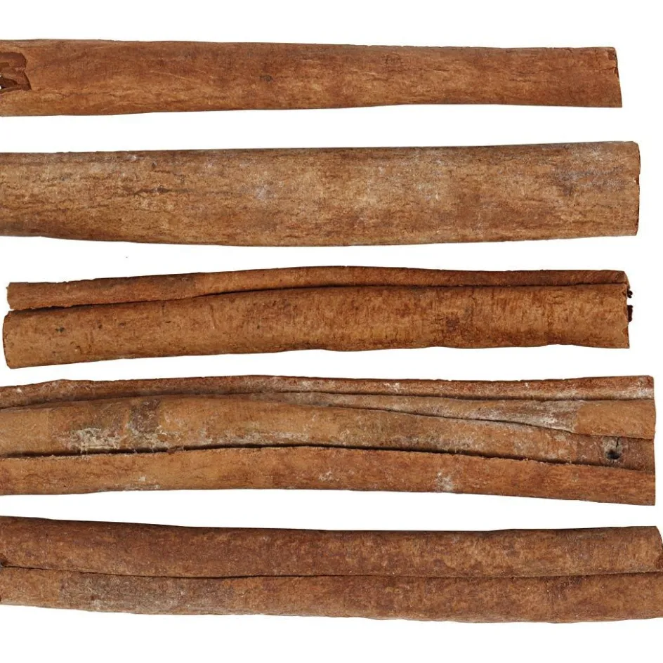 Creativ Company Cinnamon sticks| Flower Arranging And Basket Weaving Supplies
