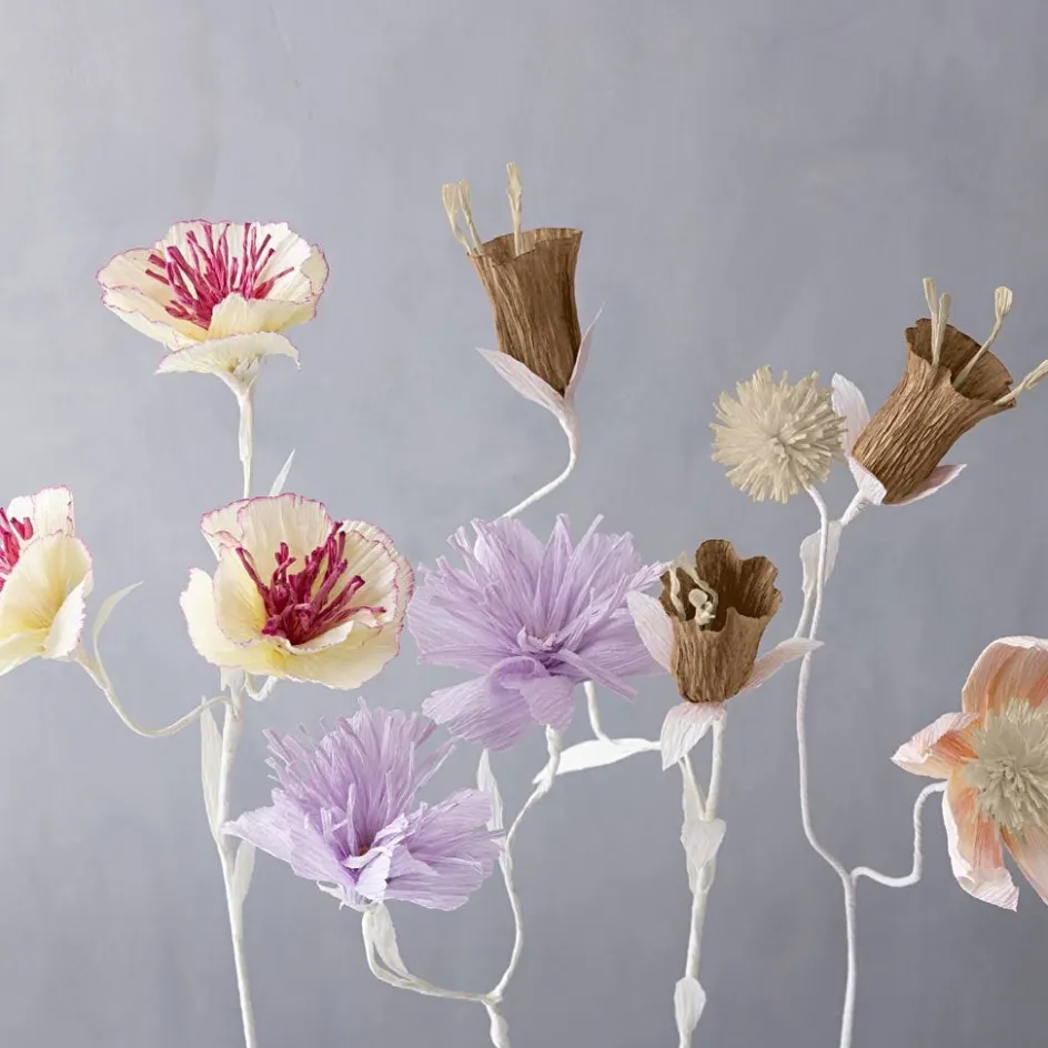 Creativ Company Crepe Paper| Paper And Card