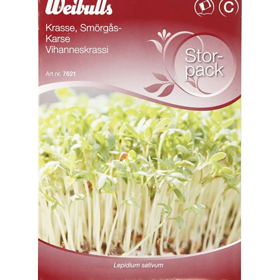 Creativ Company Cress Seeds| Paper Decorations And Paper Figures