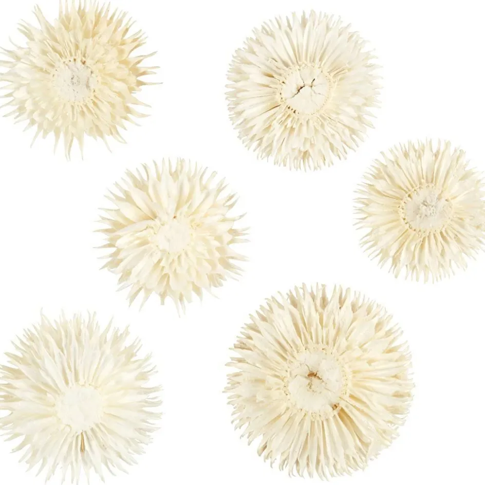 Creativ Company Dried Flower Heads| Flower Arranging And Basket Weaving Supplies