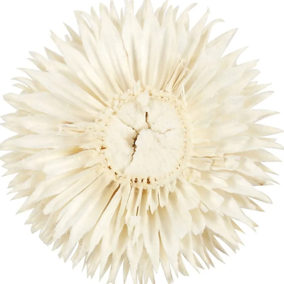 Creativ Company Dried Flower Heads| Flower Arranging And Basket Weaving Supplies