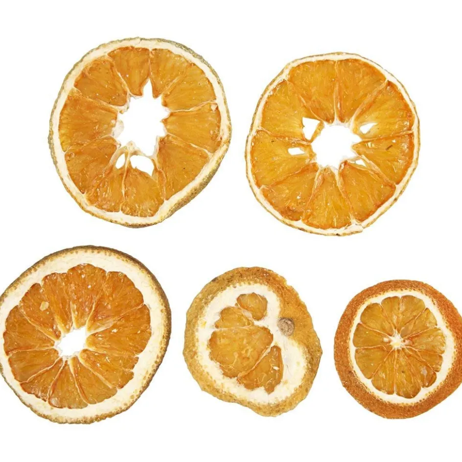 Creativ Company Dried orange slices| Flower Arranging And Basket Weaving Supplies