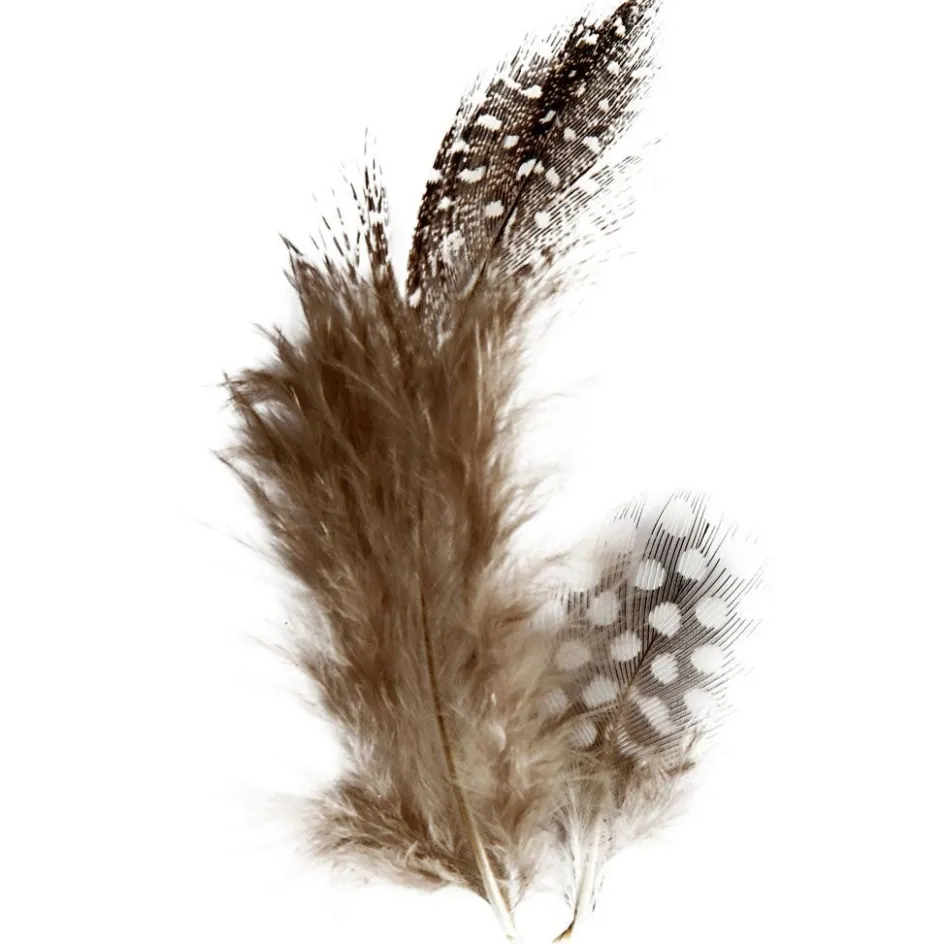 Creativ Company Guinea fowl feathers| Feathers, Pom-Poms And Pipe Cleaners