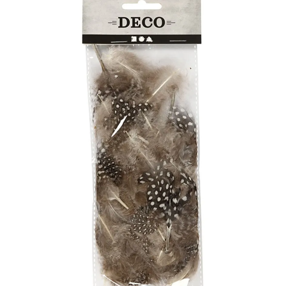 Creativ Company Guinea fowl feathers| Feathers, Pom-Poms And Pipe Cleaners