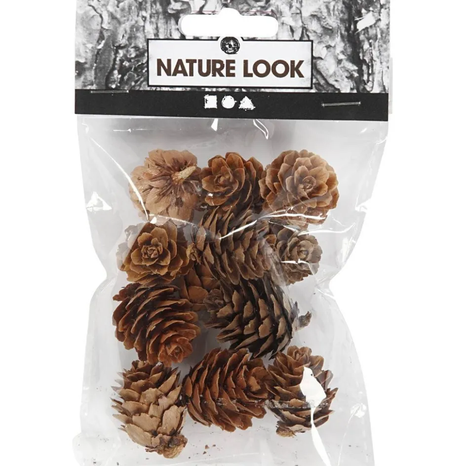 Creativ Company Larch cones| Flower Arranging And Basket Weaving Supplies
