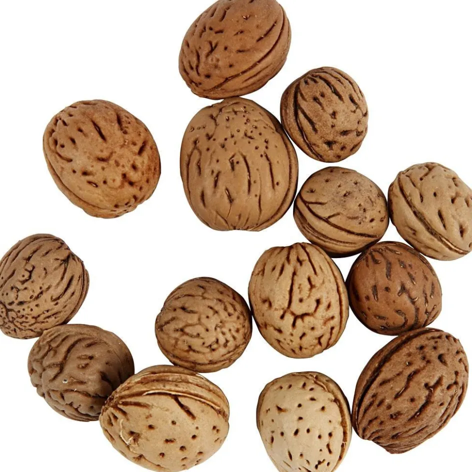 Creativ Company Nuts| Flower Arranging And Basket Weaving Supplies