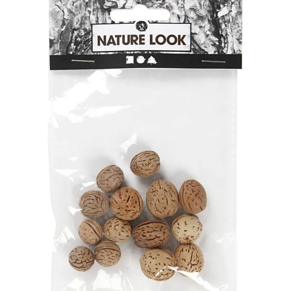 Creativ Company Nuts| Flower Arranging And Basket Weaving Supplies