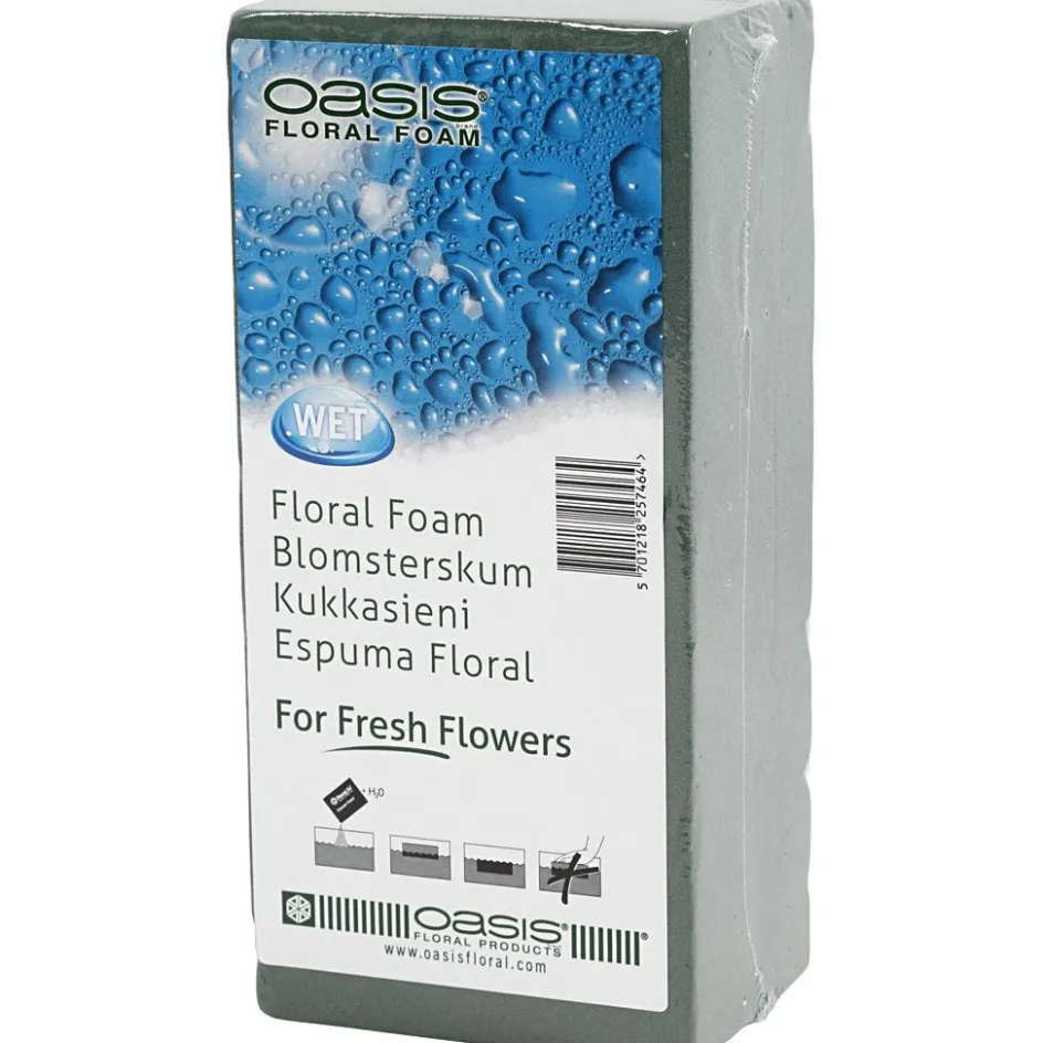 Creativ Company Oasis Floral Foam| Flower Arranging And Basket Weaving Supplies