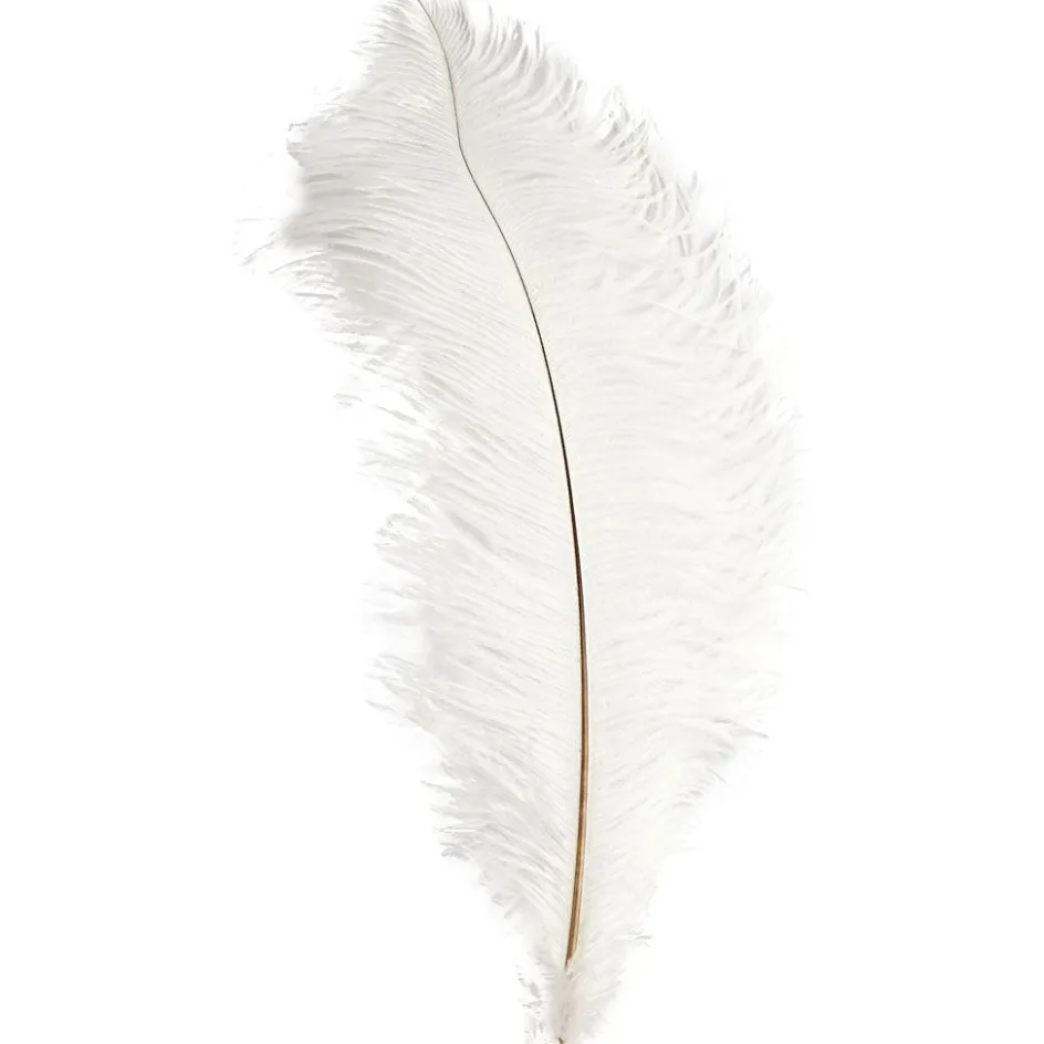 Creativ Company Ostrich feathers| Feathers, Pom-Poms And Pipe Cleaners