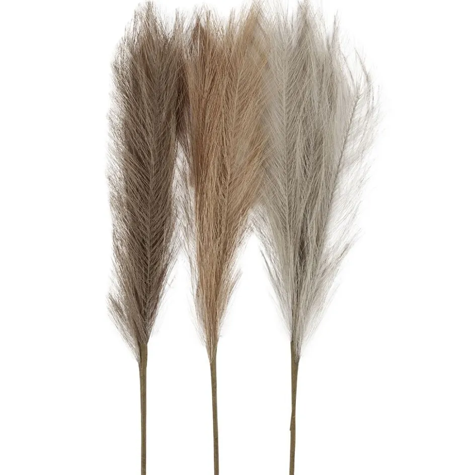 Creativ Company Pampas grass| Flower Arranging And Basket Weaving Supplies