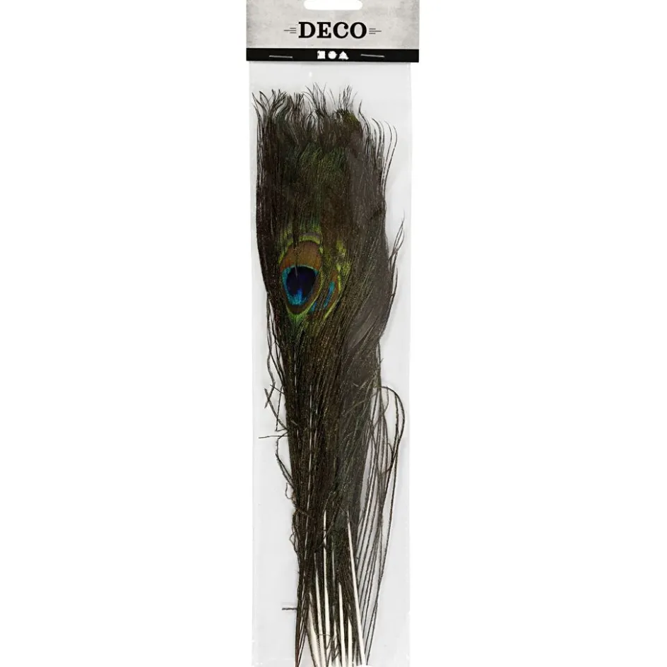 Creativ Company Peacock feathers| Feathers, Pom-Poms And Pipe Cleaners