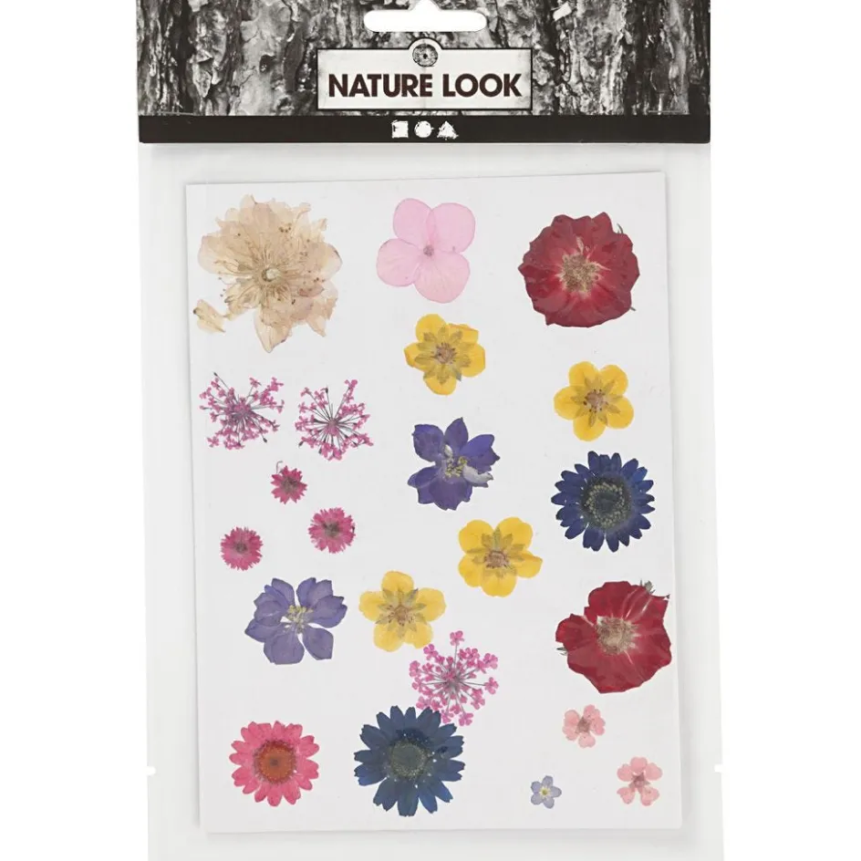 Creativ Company Pressed Flowers and Leaves| Flower Arranging And Basket Weaving Supplies
