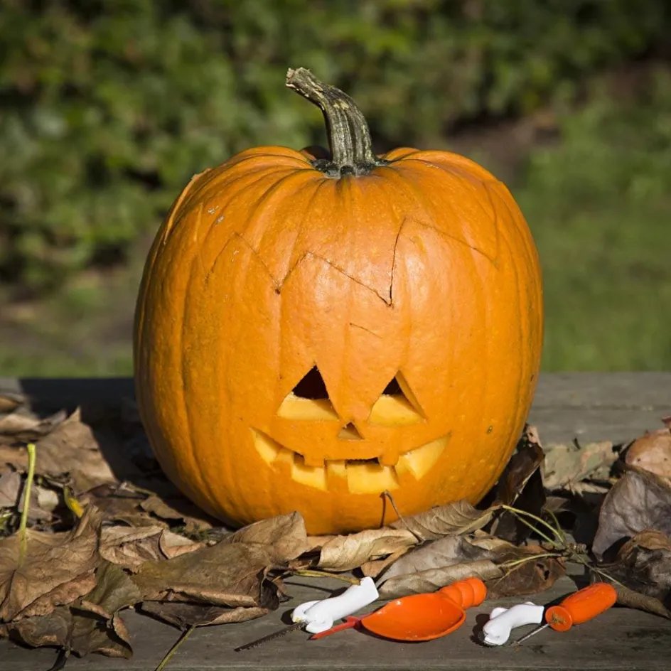 Creativ Company Pumpkin Carving Kit| Hobby Tools