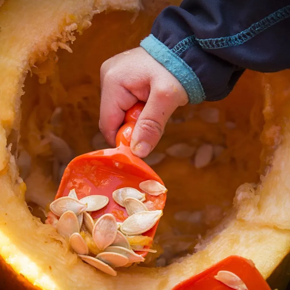 Creativ Company Pumpkin Carving Kit| Hobby Tools