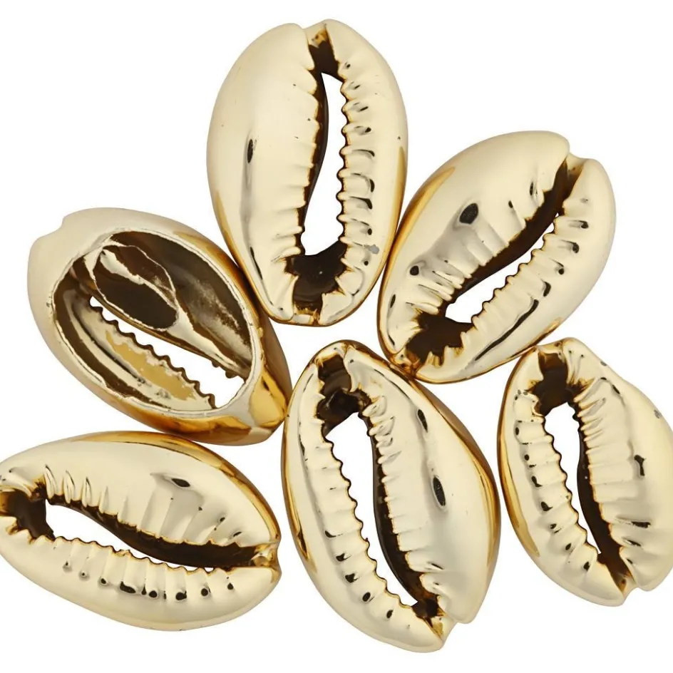 Creativ Company Shell| Beads