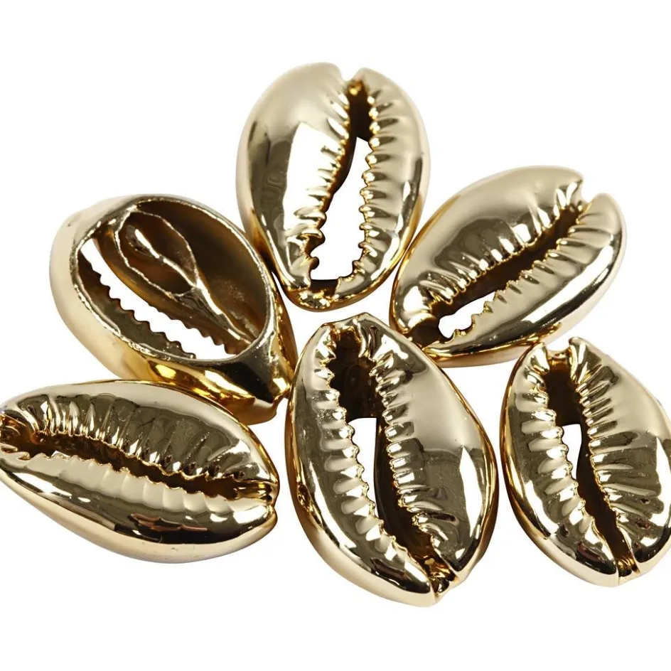 Creativ Company Shell| Beads