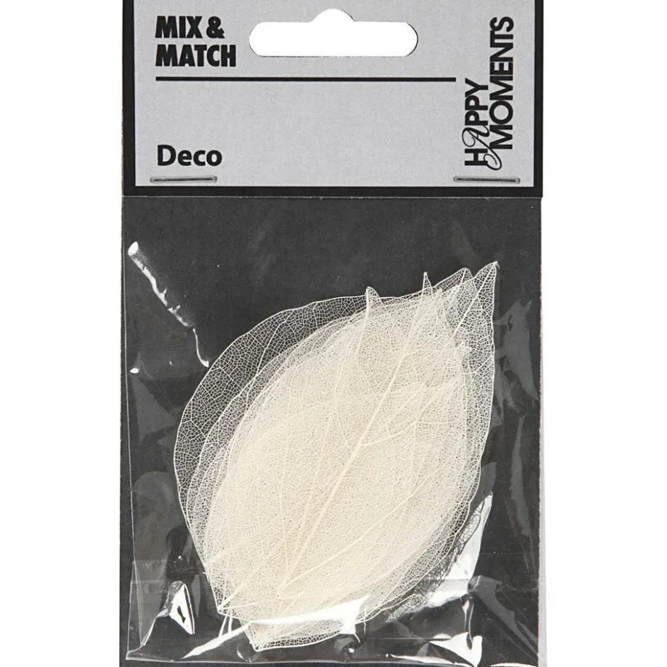 Creativ Company Skeleton Leaves| Flower Arranging And Basket Weaving Supplies