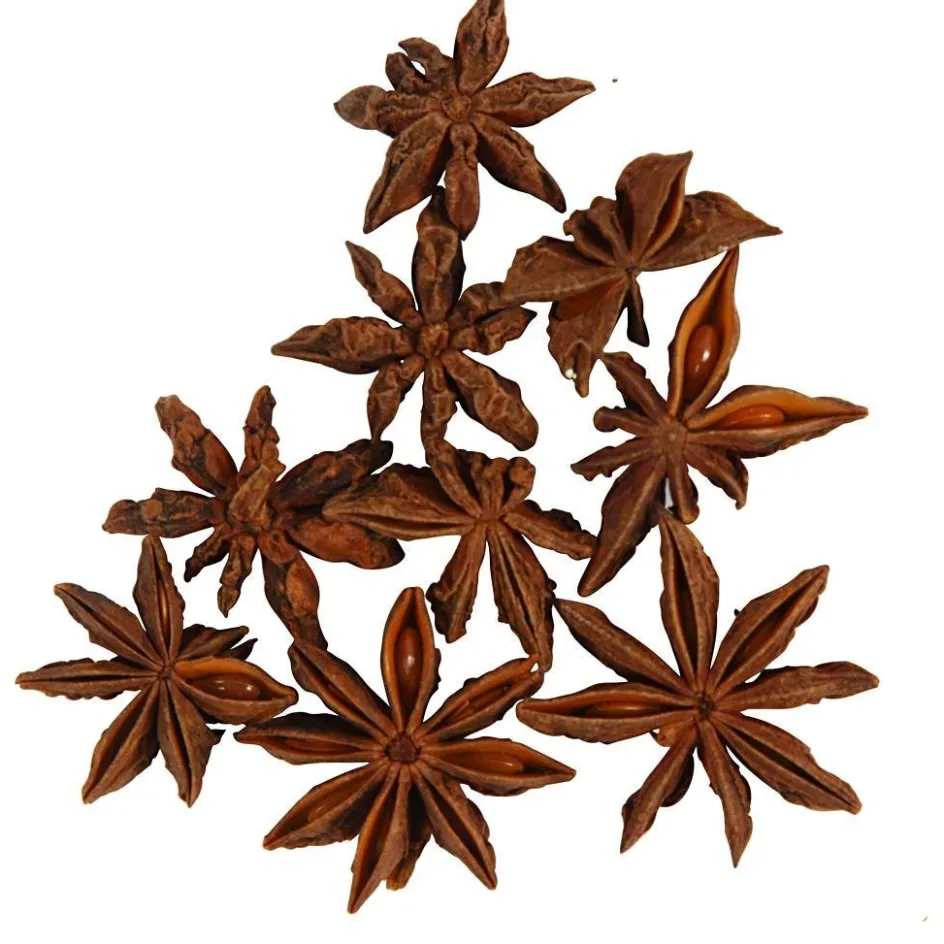 Creativ Company Star anise| Flower Arranging And Basket Weaving Supplies