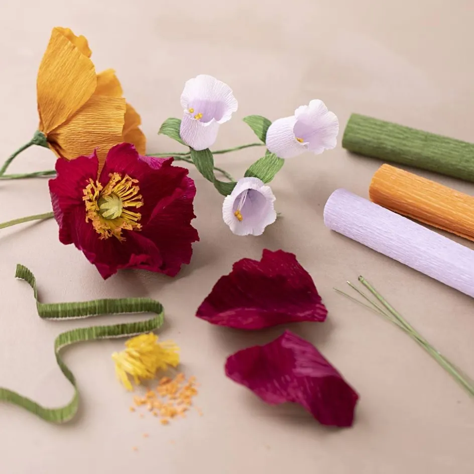 Creativ Company Starter Craft Kit Crepe Paper| Paper And Card|Diy-Kits, Paper Crafts