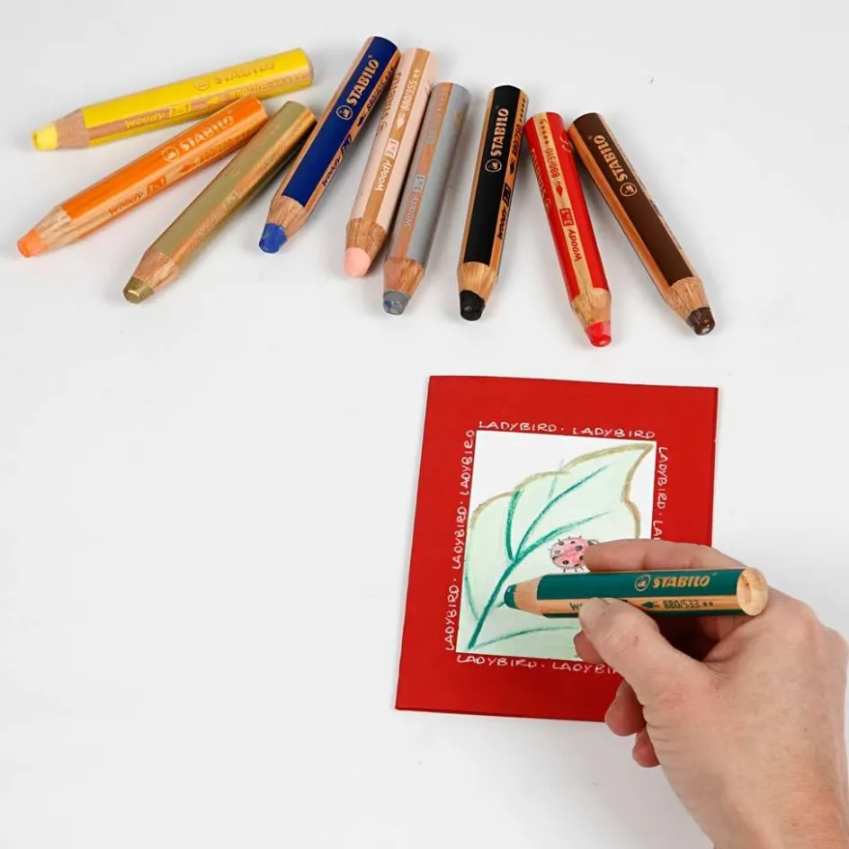 Creativ Company Woody 3-in-1 Pencils| Watercolour Paints